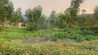 Land for sale in Paços de Ferreira, Portugal — €290,000