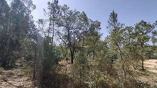 Land for sale in Rio Maior, Portugal — €50,000