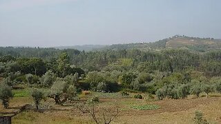 Land for sale in Miranda do Corvo, Portugal — €30,000