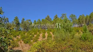 Land for sale in Proença-a-Nova, Portugal — €10,000
