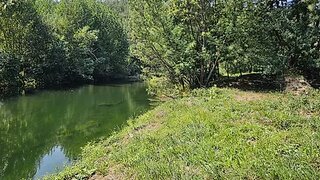 Land for sale in Arganil, Portugal — €27,500
