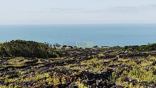 Land for sale in Madalena, Portugal — €86,000