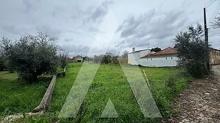 Land for sale in Alvaiázere, Portugal — €20,000