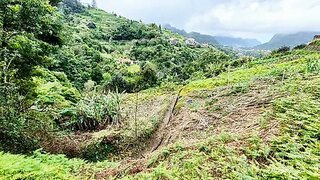 Land for sale in Machico, Portugal — €65,000