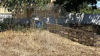 Terreno para venda em Seixal, Portugal — 50 000 €
