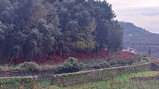 Land for sale in Monção, Portugal — €95,000