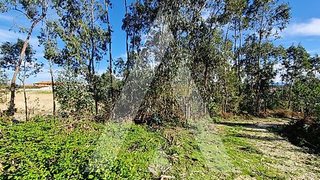 Terreno de 6026 m² em Aveiro