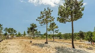 Land for sale in Grândola, Portugal — €3,000,000