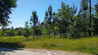Terreno de 642 m² em Viseu