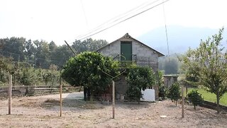 Land for sale in Vouzela, Portugal — €16,000