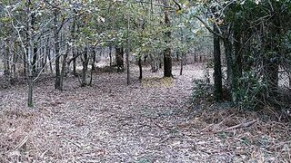 Land for sale in Póvoa de Varzim, Portugal — €75,000