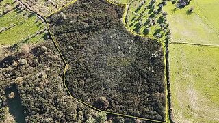 Land for sale in Mangualde, Portugal — €19,600