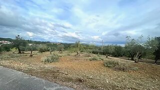 Land for sale in Tomar, Portugal — €32,000