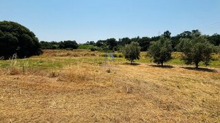 Land for sale in Azambuja, Portugal — €95,000