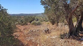 Terreno · 14 270 m² · 61 000 €