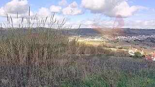 Land for sale in Bombarral, Portugal — €70,200