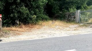 Land for sale in Guimarães, Portugal — €100,000