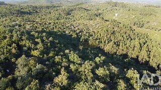 Terreno · 14 600 m² · 12 500 €