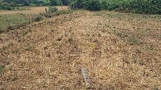 Terreno em Aveiro · 14 599 m² · 168 000 €