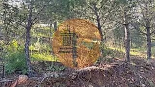 Land for sale in Castro Marim, Portugal — €58,900