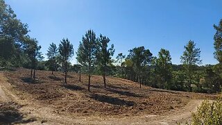 Land for sale in Torres Novas, Portugal — €20,000