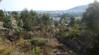 Terreno de 7000 m² em Viana do Castelo