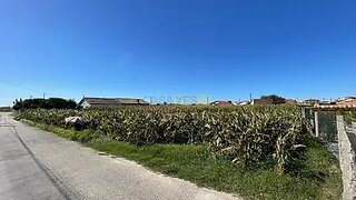 Land for sale in Murtosa, Portugal — €40,000