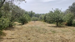 Land for sale in Fundão, Portugal — €15,000