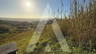 Land for sale in Alcobaça, Portugal — €70,000