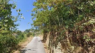 Terreno em Oliveira de Azeméis · 9870 m² · 25 000 €