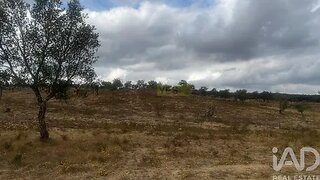 Land for sale in Santiago do Cacém, Portugal — €135,000