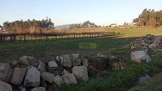 Terreno · 7200 m² · 65 000 €