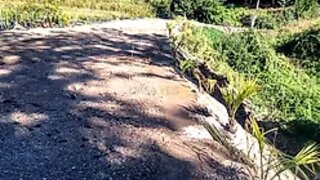 Land for sale in Guimarães, Portugal — €180,000