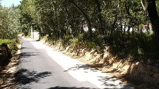Land for sale in Condeixa-a-Nova, Portugal — €55,000