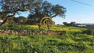 Land for sale in Alandroal, Portugal — €36,000