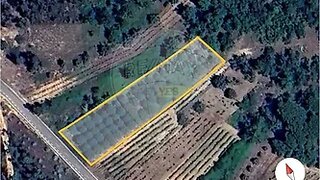 Land for sale in Mealhada, Portugal — €15,000
