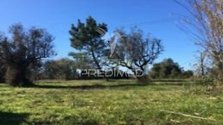 Terreno · 11 450 m² · 133 000 €