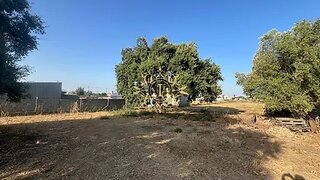 Land for sale in Palmela, Portugal — €170,000