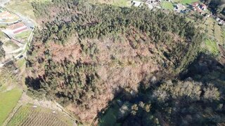 Terreno em Celorico de Basto