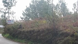Land for sale in Ponte de Lima, Portugal — €65,000