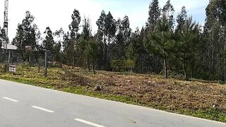 Land for sale in Águeda, Portugal — €53,000
