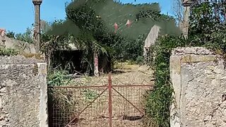 Terreno de 7170 m² em Coimbra