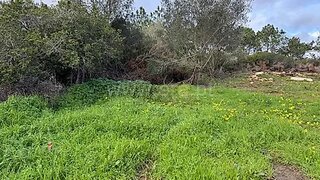 Land for sale in Mafra, Portugal — €65,000
