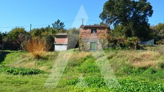 Land for sale in Sever do Vouga, Portugal — €55,000