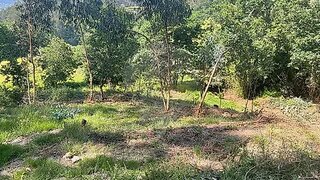 Land for sale in Arcos de Valdevez, Portugal — €18,000