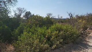Land for sale in Loulé, Portugal — €35,000