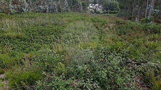 Land for sale in Pombal, Portugal — €240,000