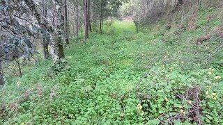 Terreno em Coimbra