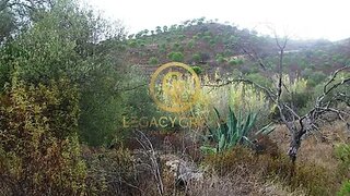 Terreno em Alcoutim