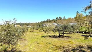 Land for sale in Tábua, Portugal — €25,000